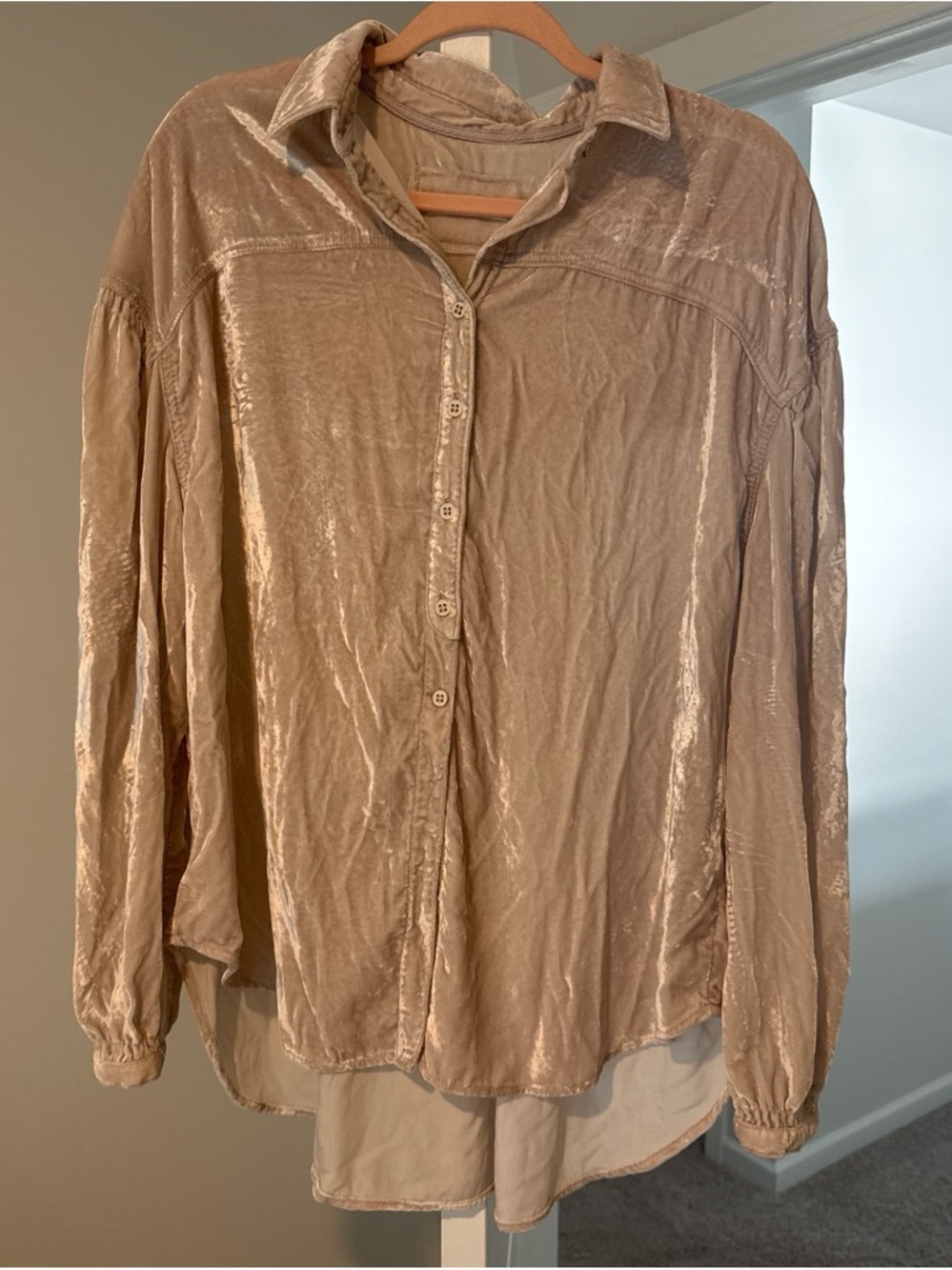 We The Free Crushed Velvet Button-Down Shirt in Beige Taupe